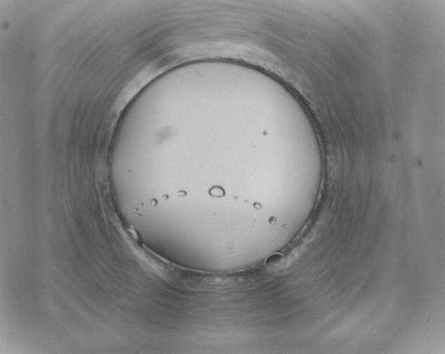 X0000074311521200609151954