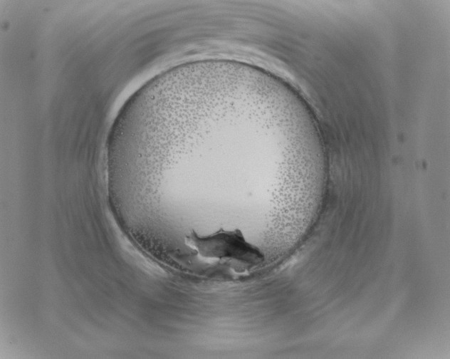 X0000074311522200609151954