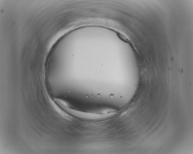 X0000074311523200609151954