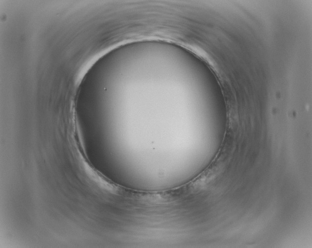 X0000074311524200609151954