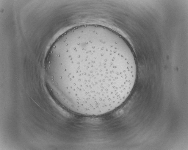 X0000074311525200609151954