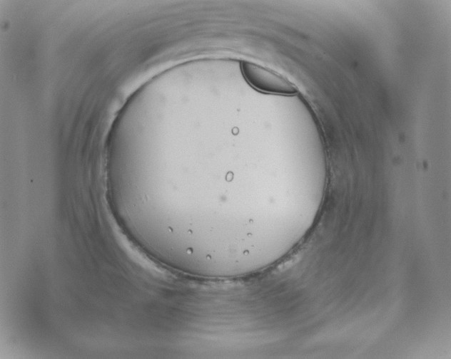 X0000074311526200609151954