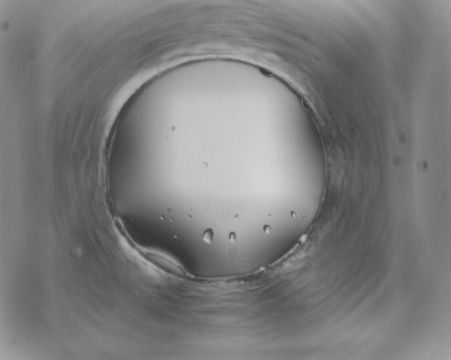 X0000074311527200609151954