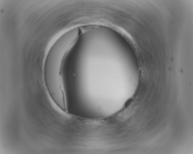 X0000074311528200609151954