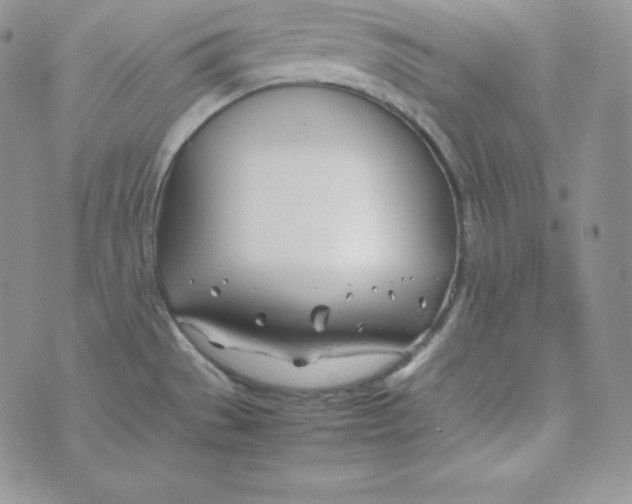 X0000074311529200609151954