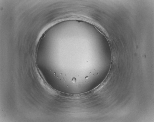 X0000074311530200609151954