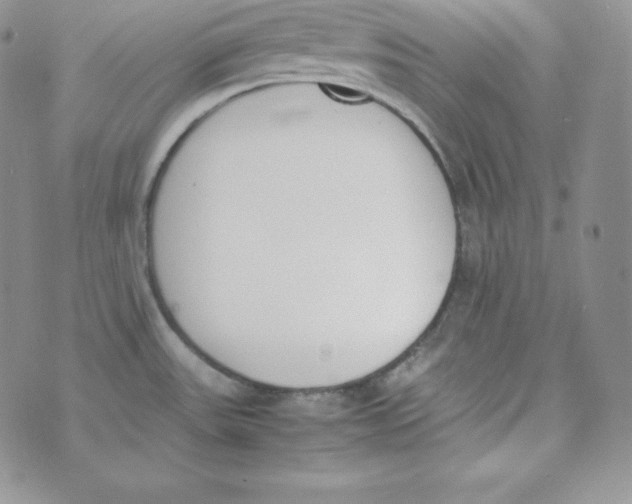 X0000074311531200609151954