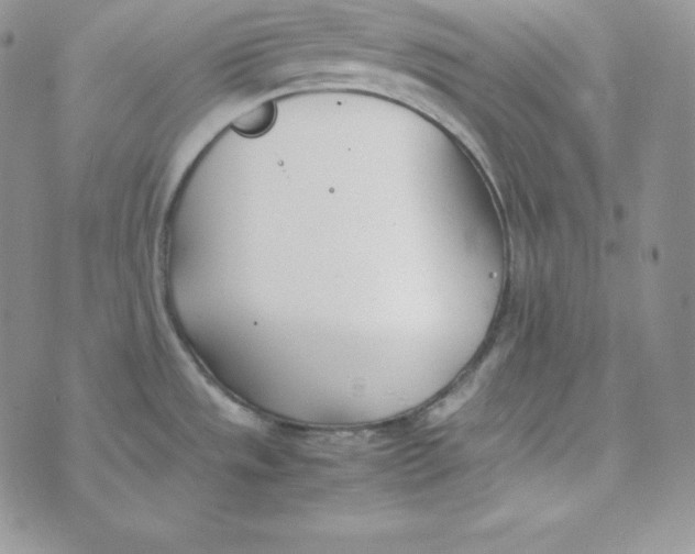 X0000074311533200609151954