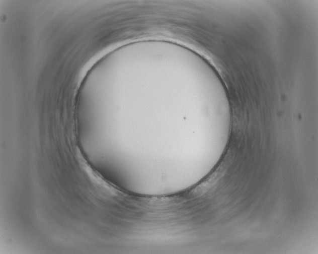 X0000074311534200609151954