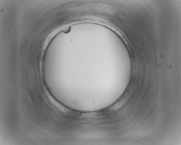 X0000074311535200609151954