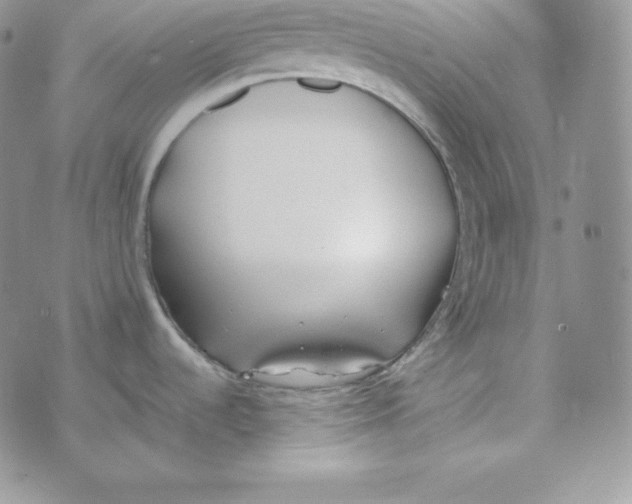 X0000074311536200609151954