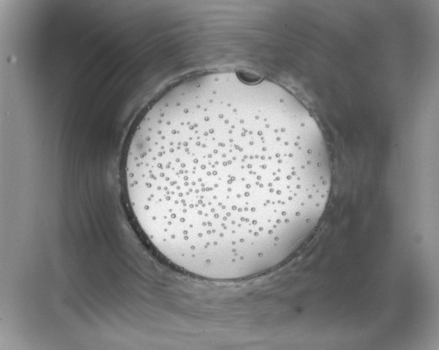 X0000074310002200609230013