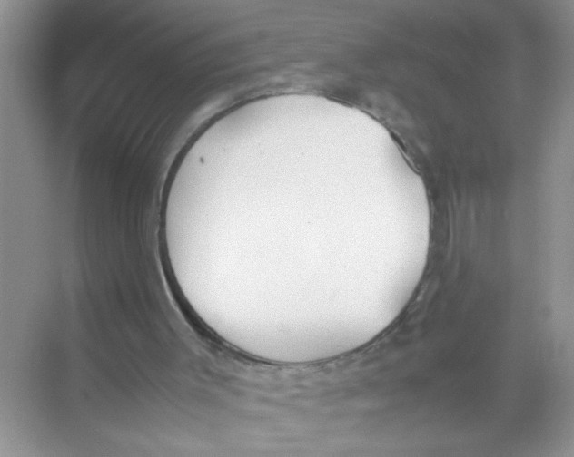 X0000074310003200609230013