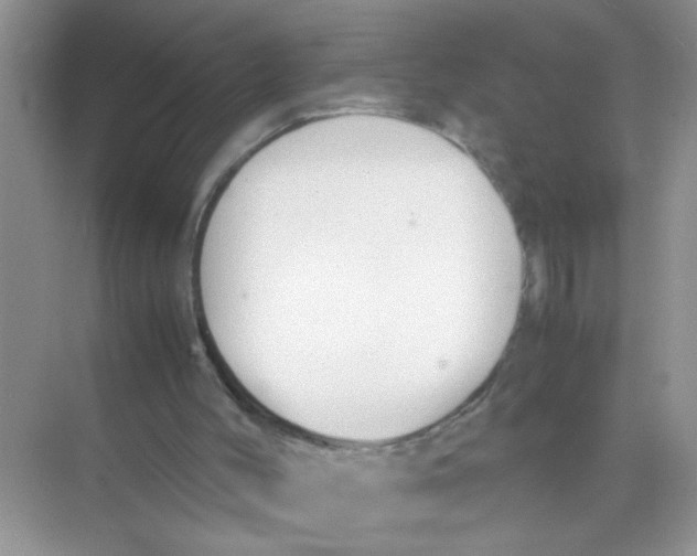 X0000074310004200609230013