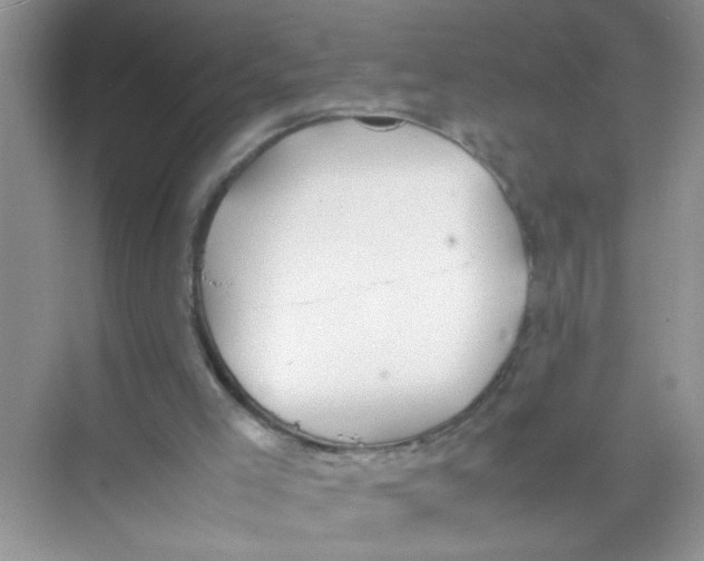 X0000074310005200609230012