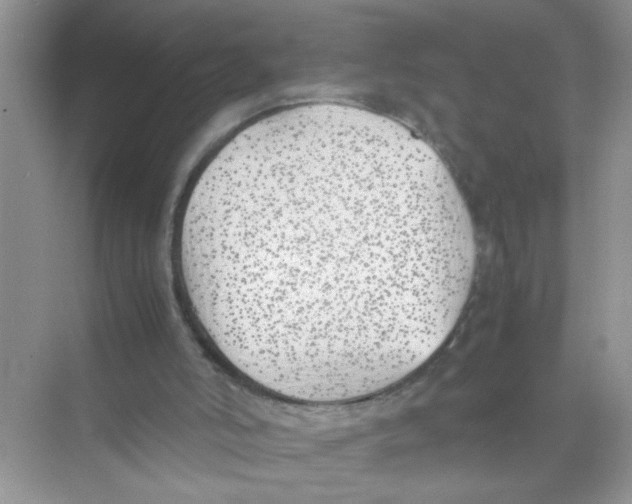 X0000074310006200609230012