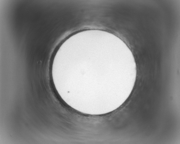 X0000074310008200609230012