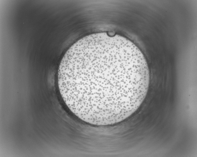 X0000074310010200609230012