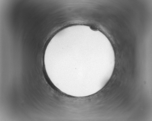 X0000074310011200609230012