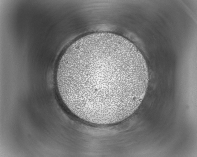 X0000074310012200609230012