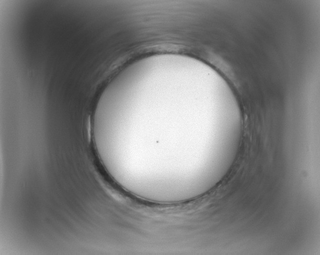 X0000074310013200609230012