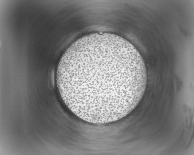 X0000074310014200609230012