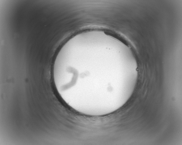 X0000074310015200609230012