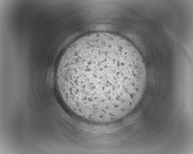 X0000074310016200609230012