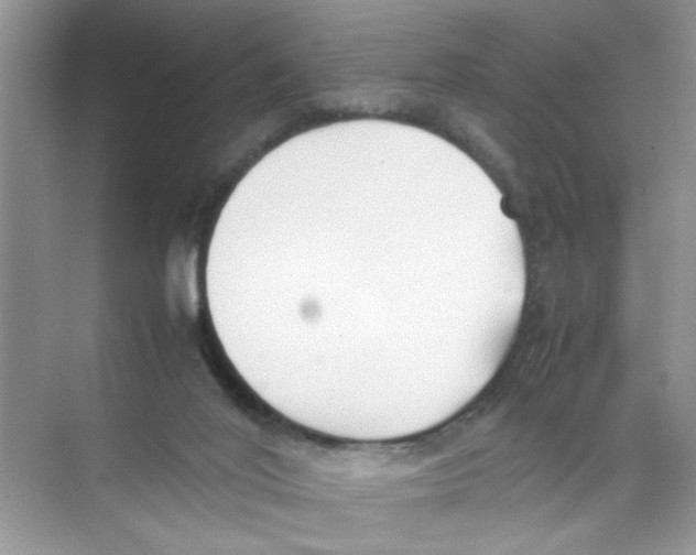 X0000074310020200609230012