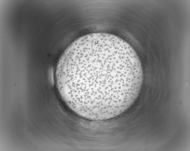 X0000074310022200609230012