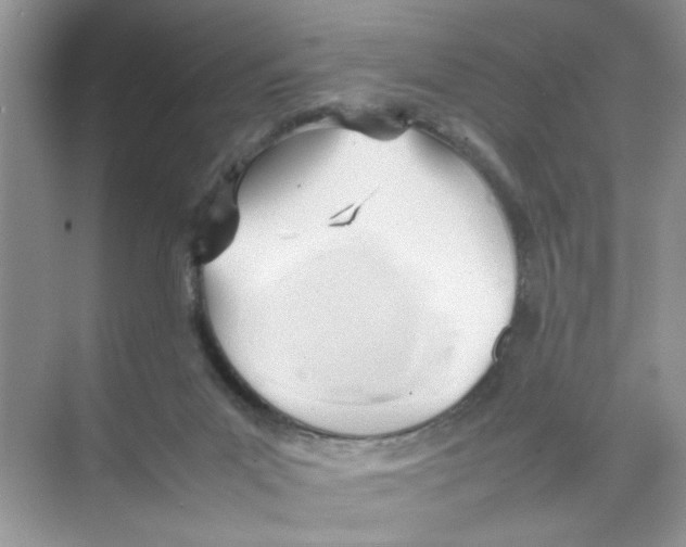 X0000074310023200609230012