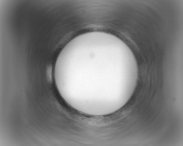 X0000074310024200609230012