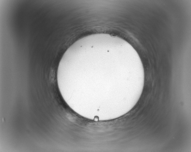 X0000074310025200609230012