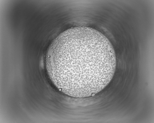 X0000074310026200609230012