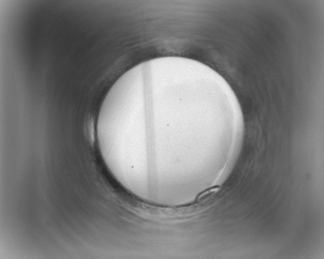 X0000074310027200609230012