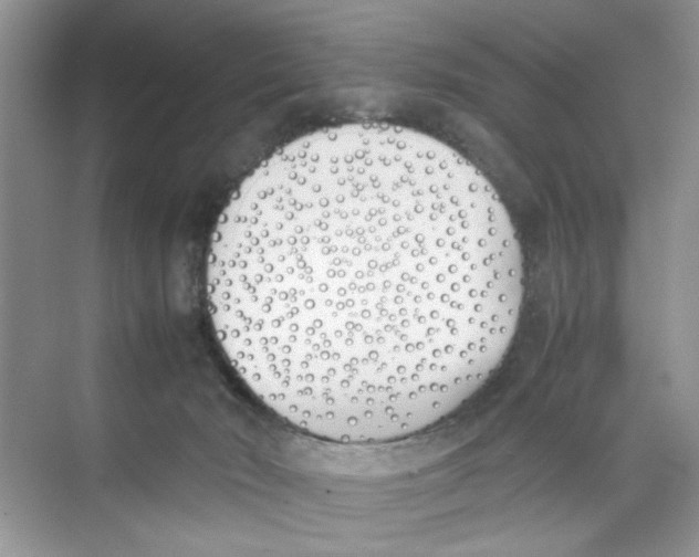 X0000074310030200609230012