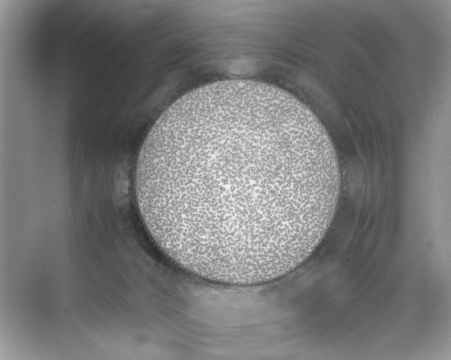 X0000074310032200609230012