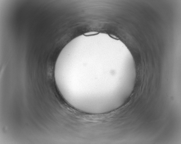 X0000074310033200609230012