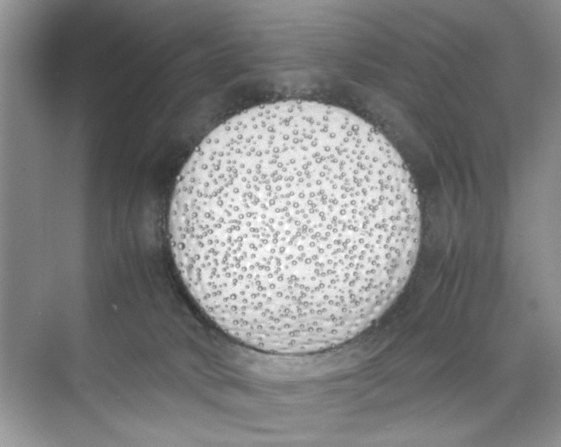 X0000074310034200609230012