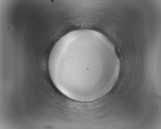 X0000074310039200609230012