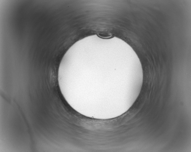 X0000074310040200609230012