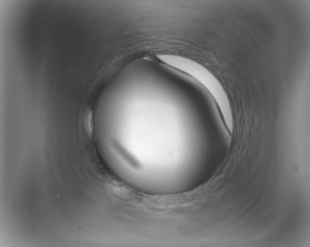 X0000074310041200609230012