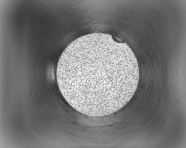 X0000074310042200609230012