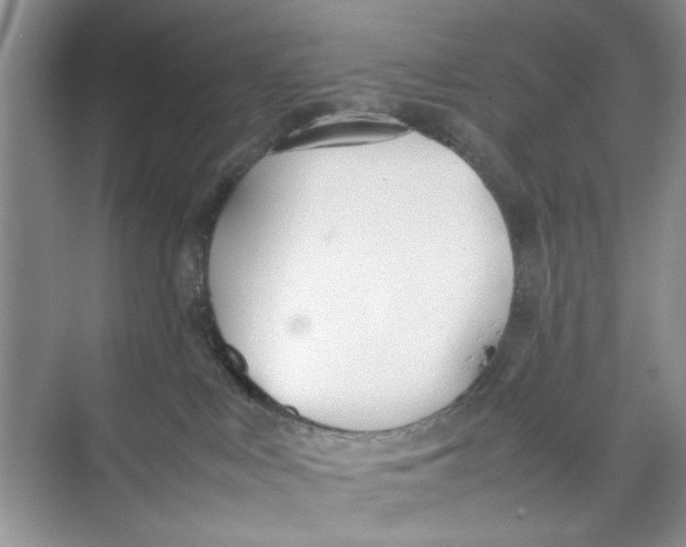 X0000074310043200609230012