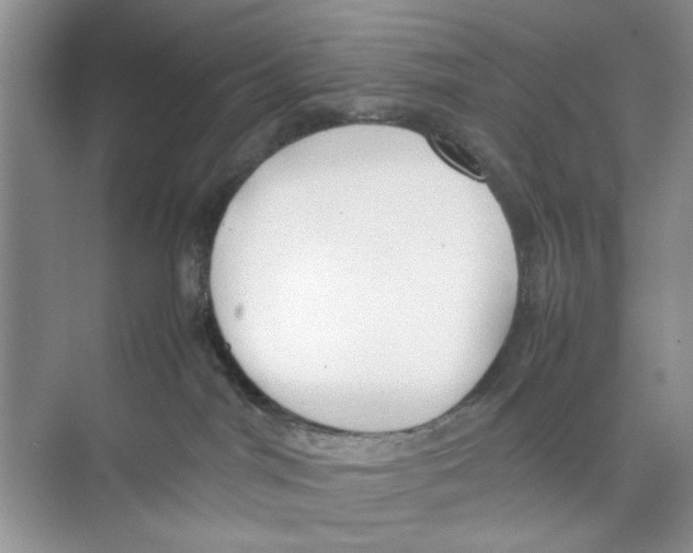 X0000074310044200609230012