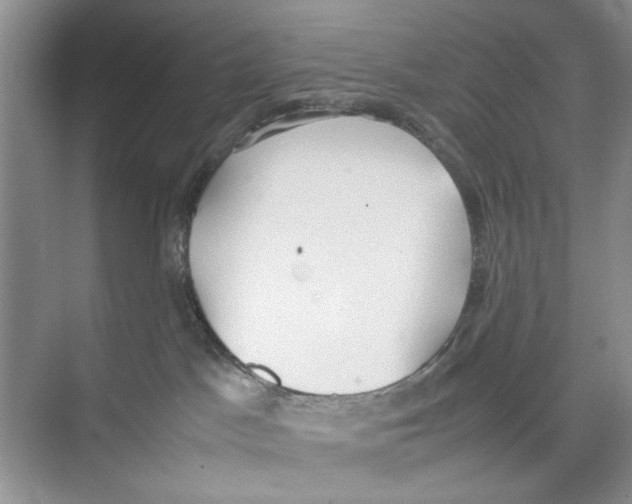 X0000074310045200609230012