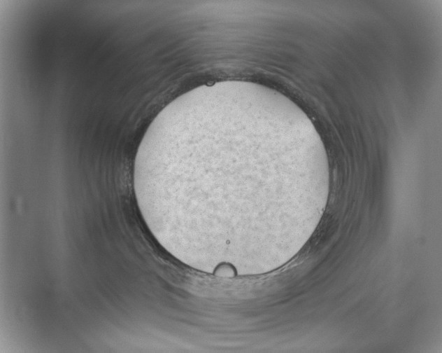 X0000074310048200609230012