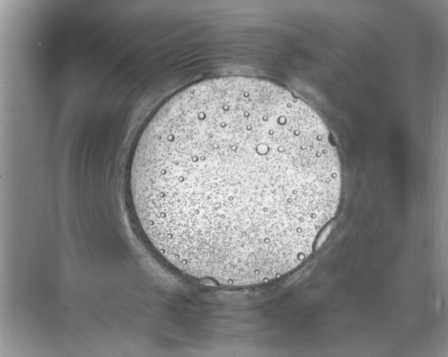 X0000074310049200609230011