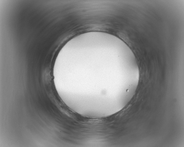 X0000074310050200609230011