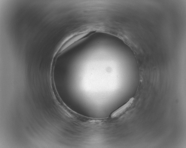 X0000074310052200609230011